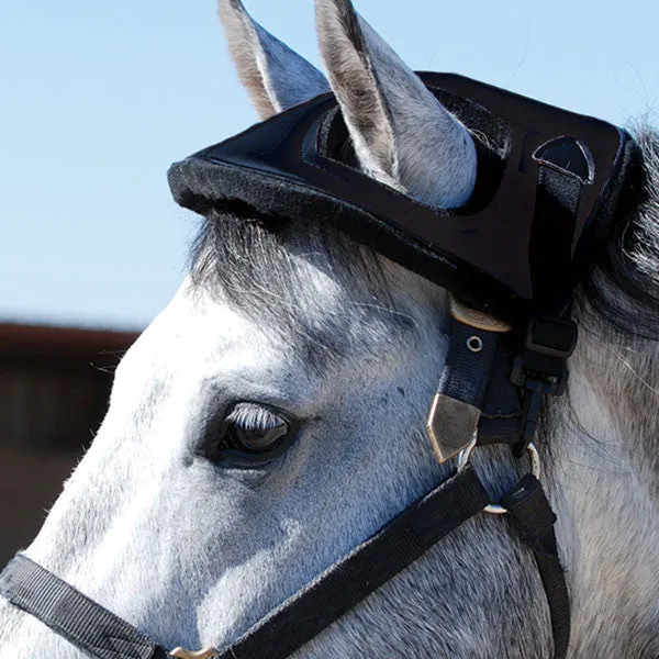 Cashel Horse Helmet