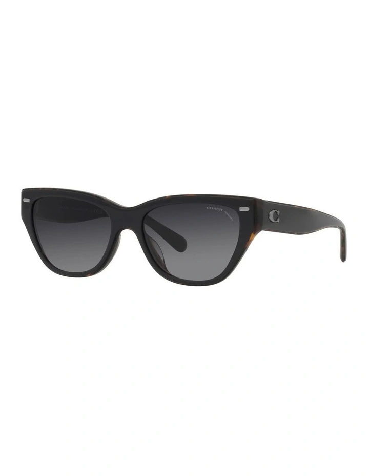 CH570 Polarized Sunglasses in Black