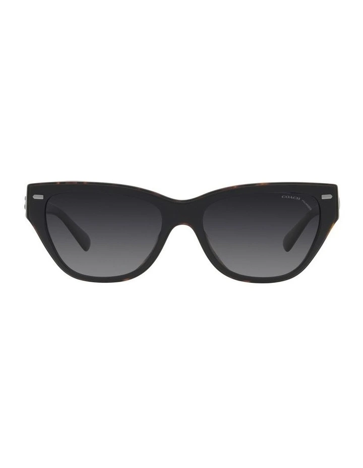 CH570 Polarized Sunglasses in Black