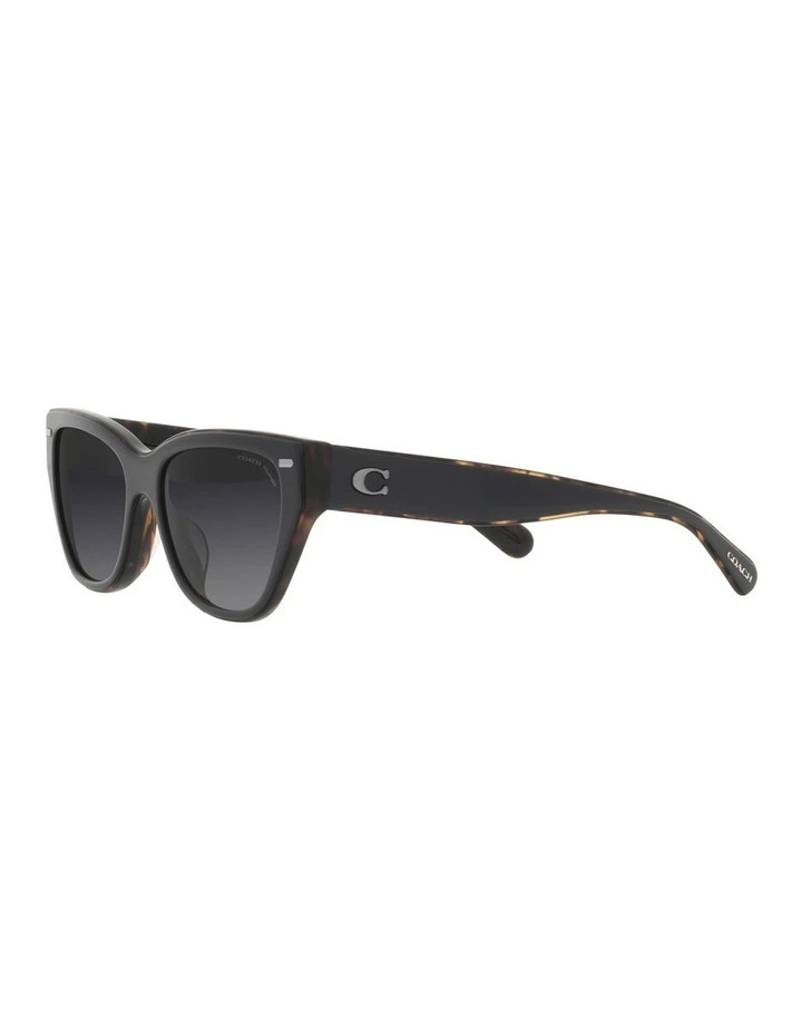 CH570 Polarized Sunglasses in Black