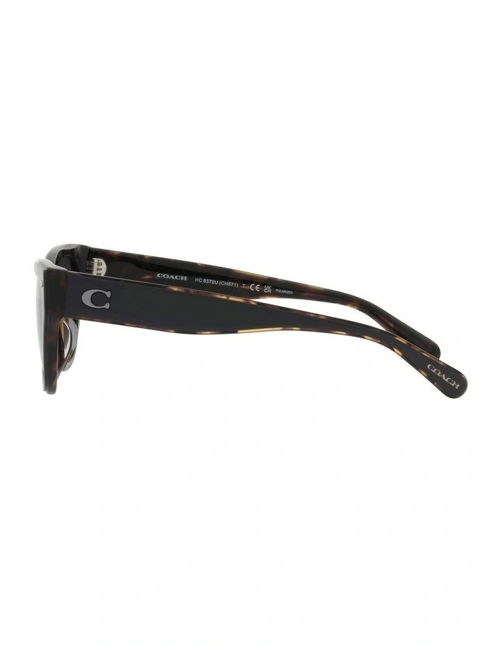 CH570 Polarized Sunglasses in Black