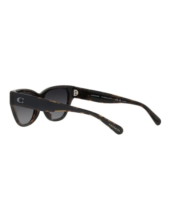 CH570 Polarized Sunglasses in Black