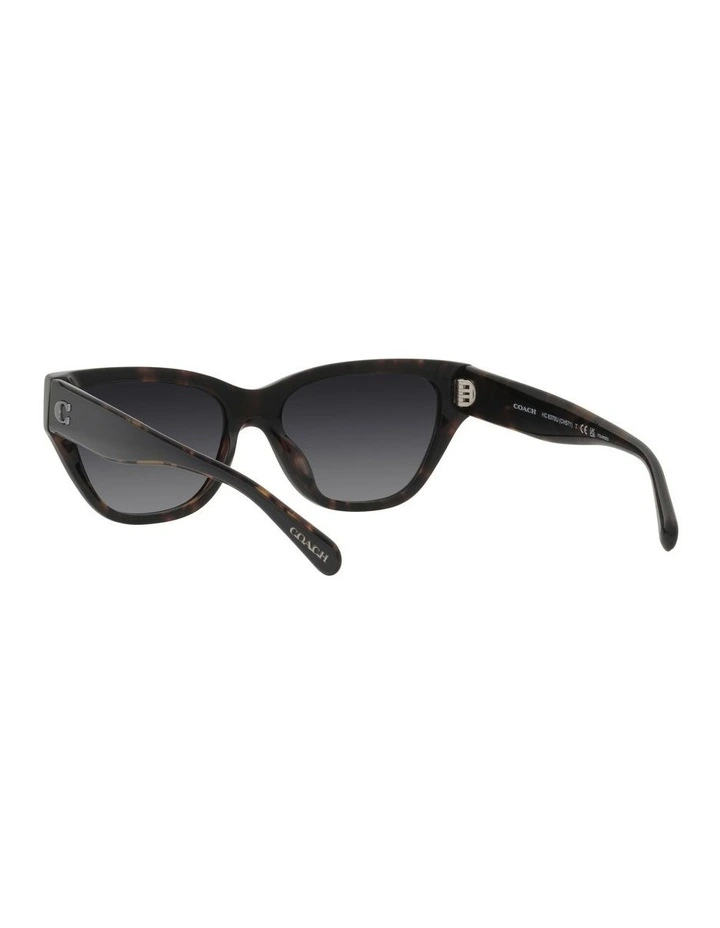 CH570 Polarized Sunglasses in Black