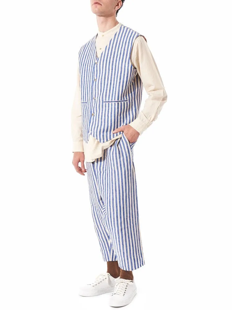 Fitted Pinstriped Waistcoat (PF MPJ WC02 BLUE STRIPES)