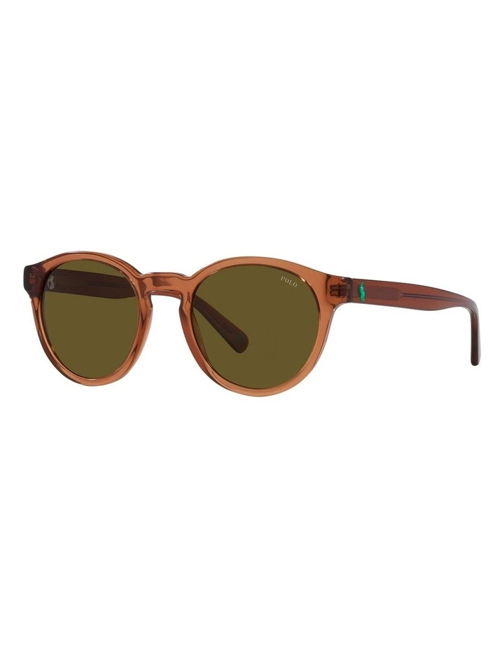 PH4192F Sunglasses in Brown