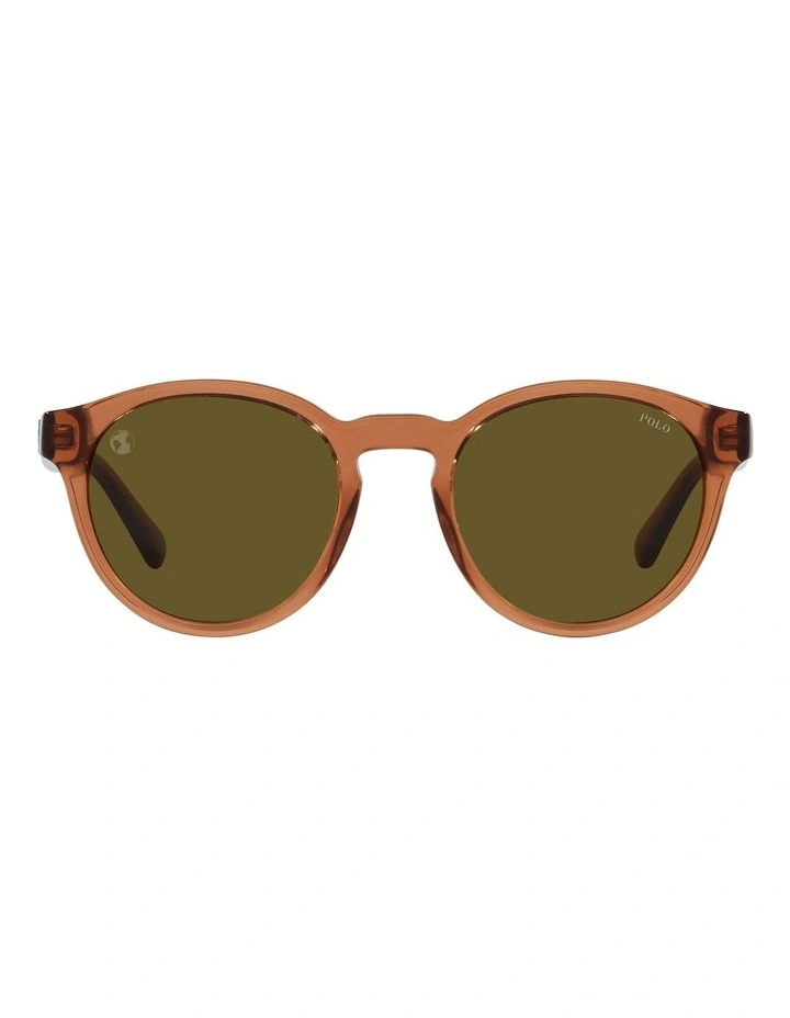 PH4192F Sunglasses in Brown