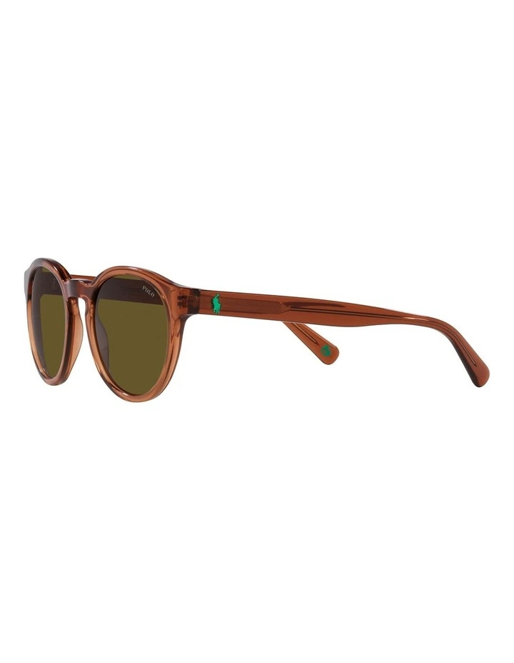 PH4192F Sunglasses in Brown