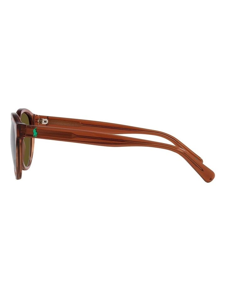 PH4192F Sunglasses in Brown