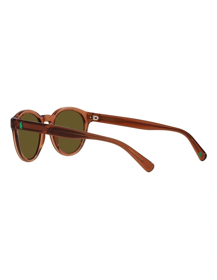 PH4192F Sunglasses in Brown