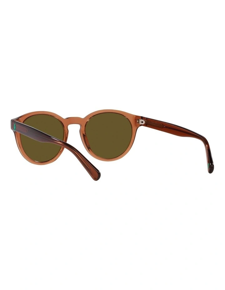 PH4192F Sunglasses in Brown