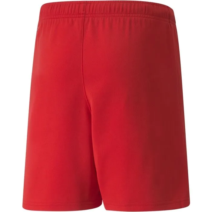 Puma TEAMRISE SHORT JR